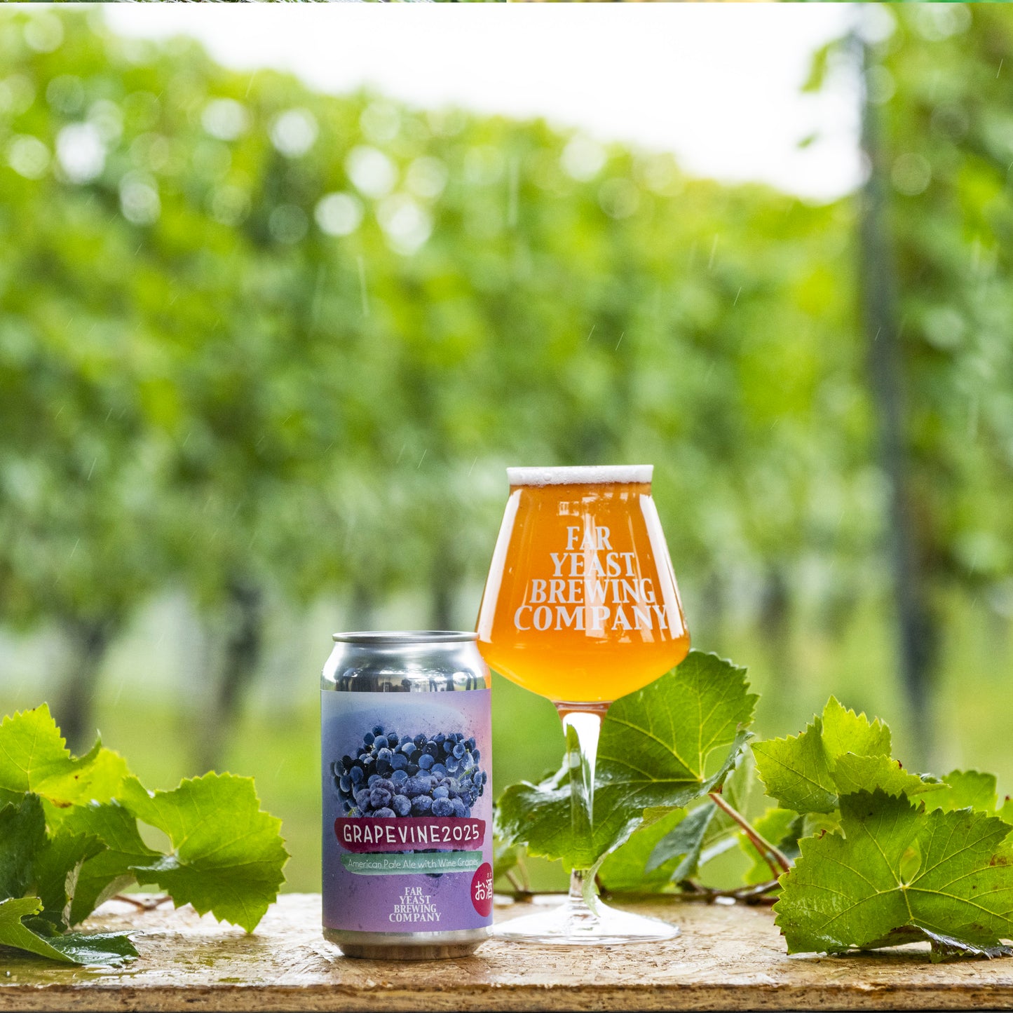 Far Yeast Grapevine