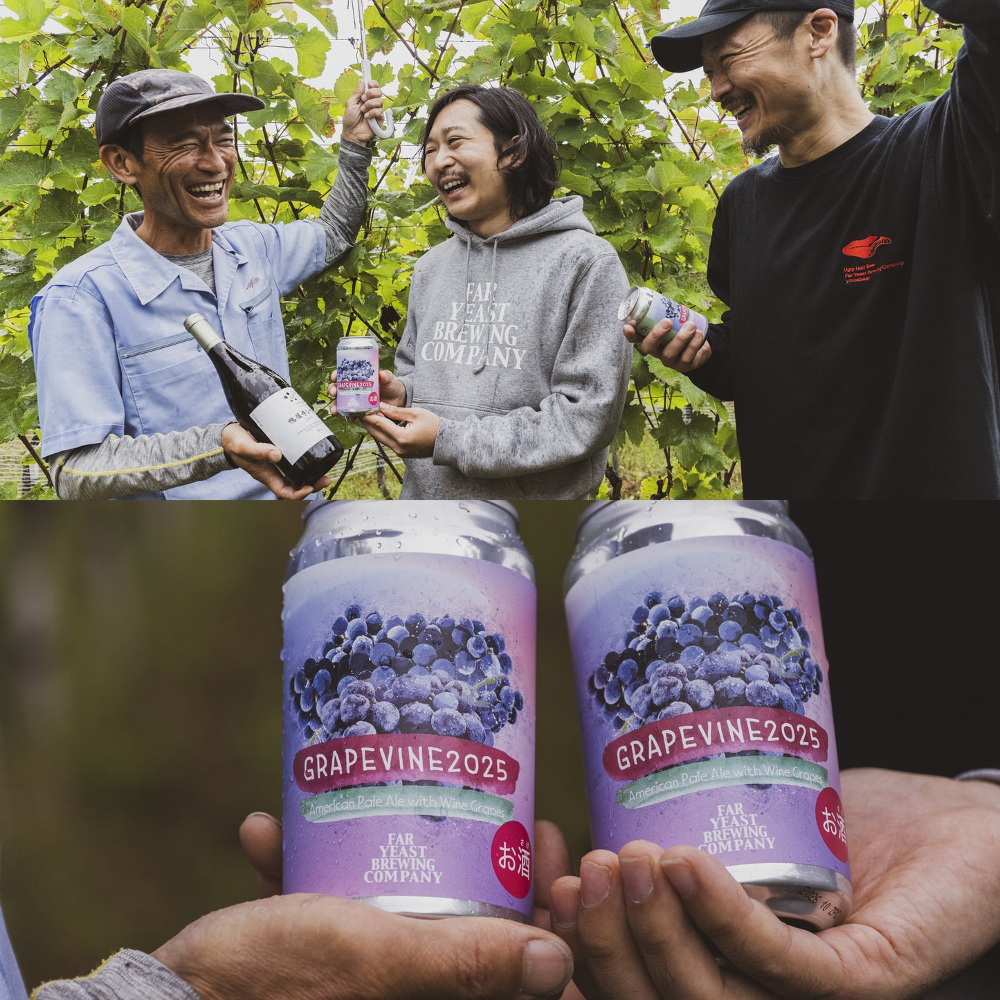 Far Yeast Grapevine