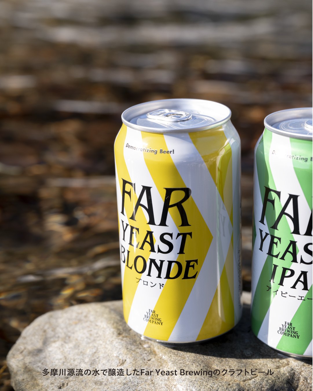 Far Yeast BlondeとIPAの缶ビール