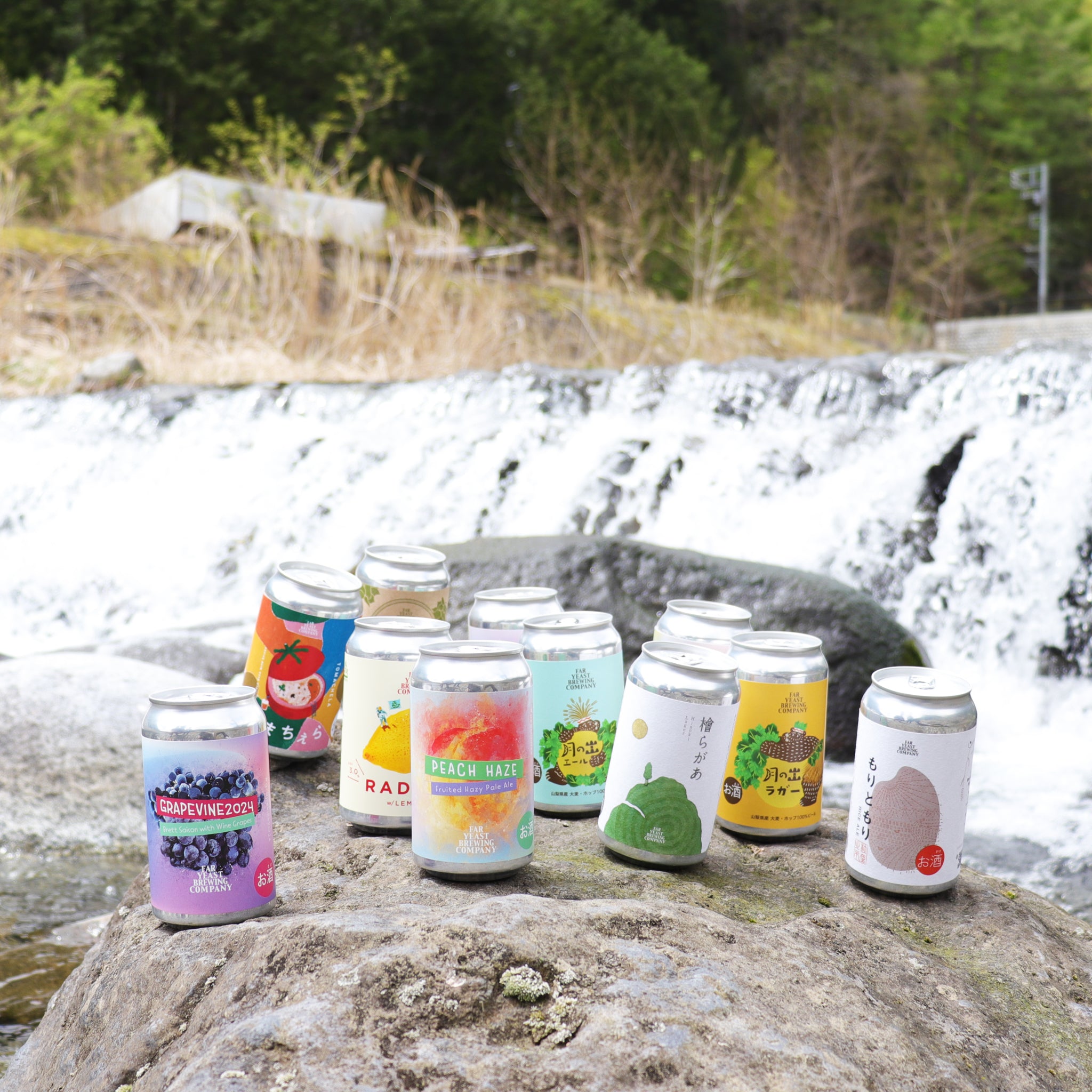 Far Yeast Azeotrope Pickwick Papers 2本 Far Yeast Azeotrope