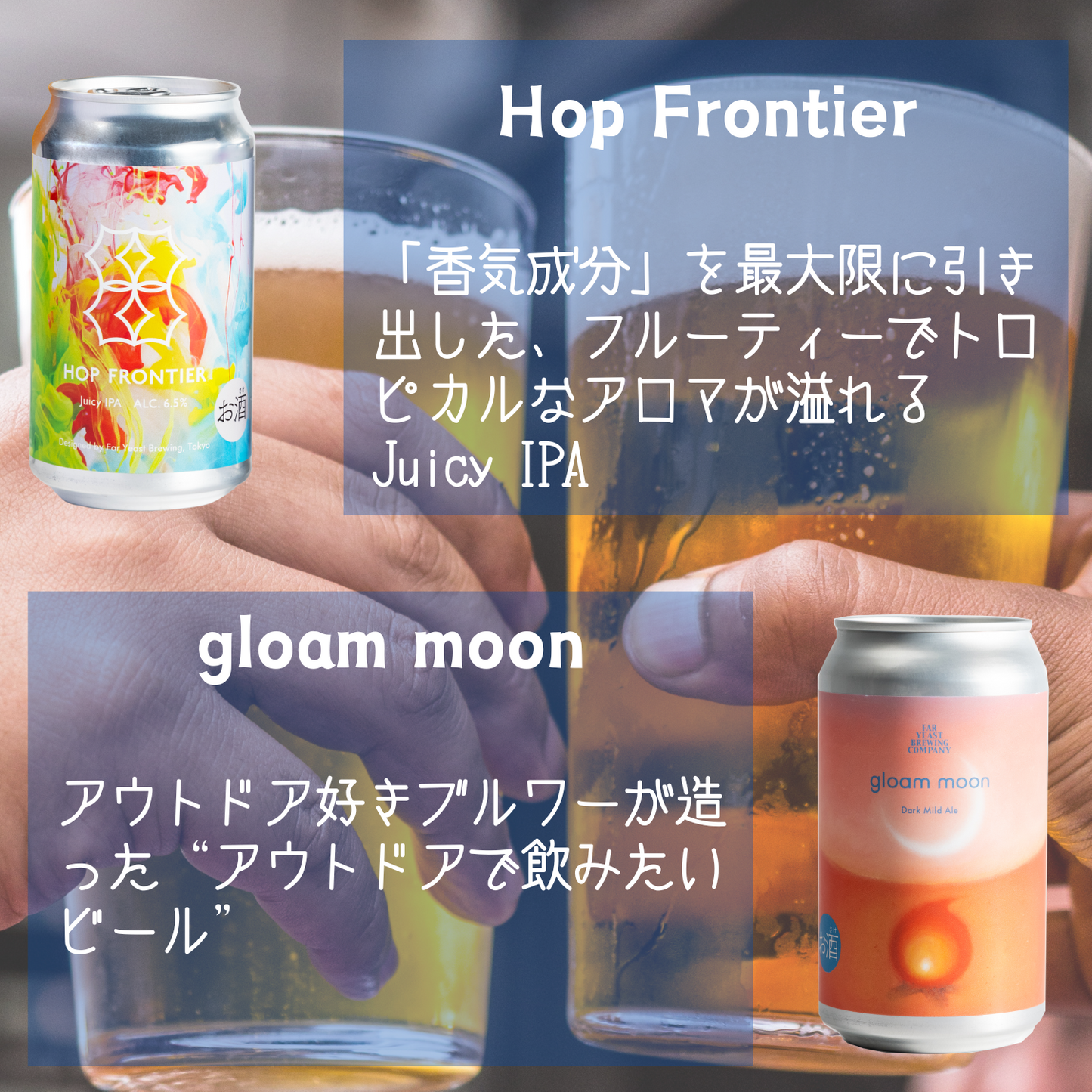 Far Yeast定番3種各2＆限定6種各1／12本