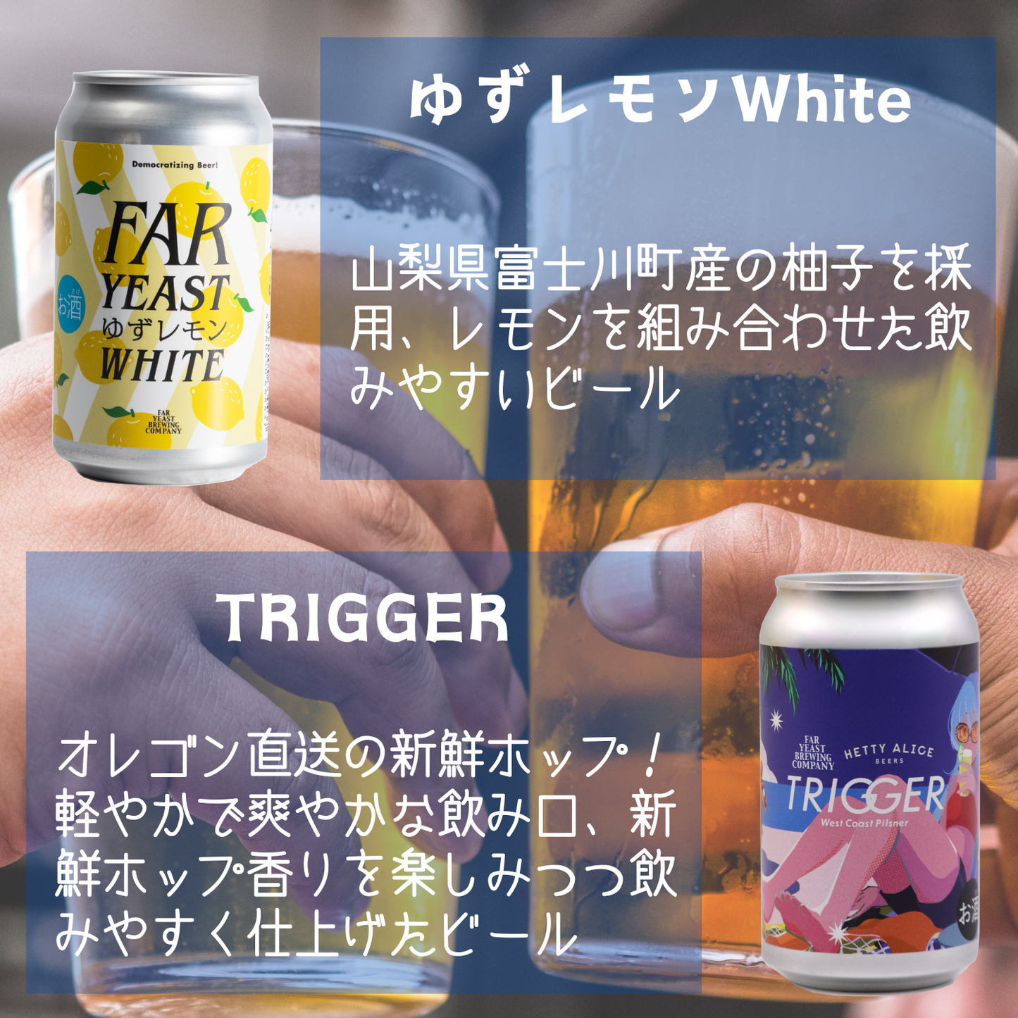 Far Yeast定番3種各2＆限定6種各1／12本