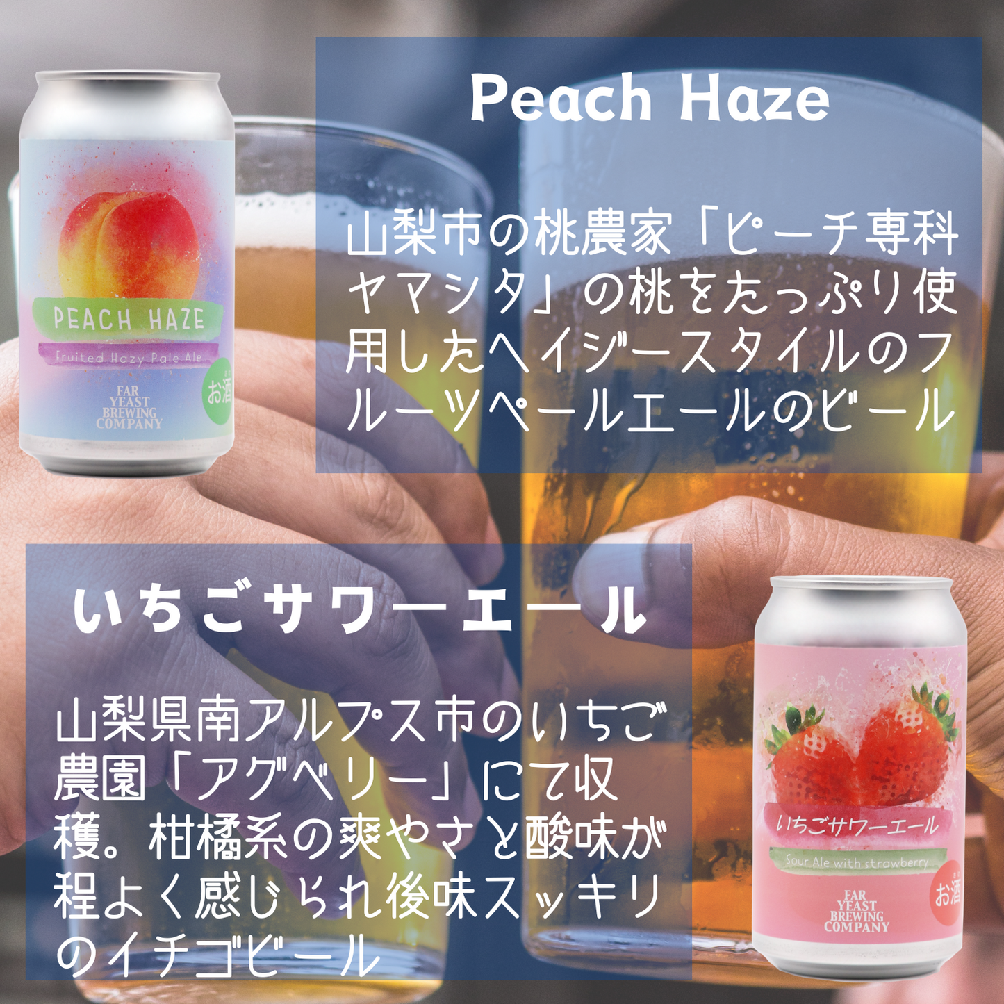 Far Yeast定番3種各2＆限定6種各1／12本